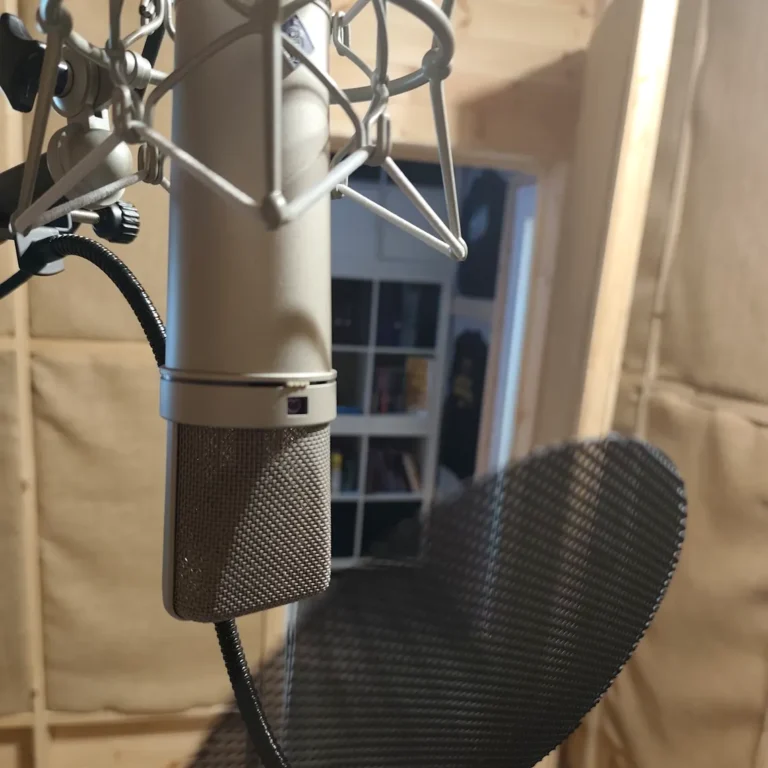 Micròfon per a doblatge i voice over professional