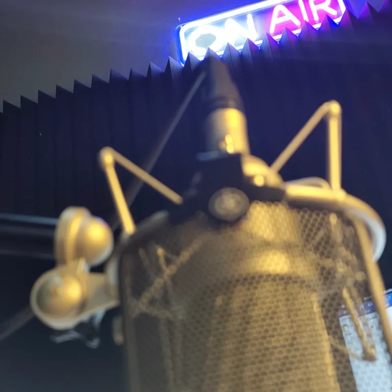 Sessió de doblatge i voice over a l'estudi